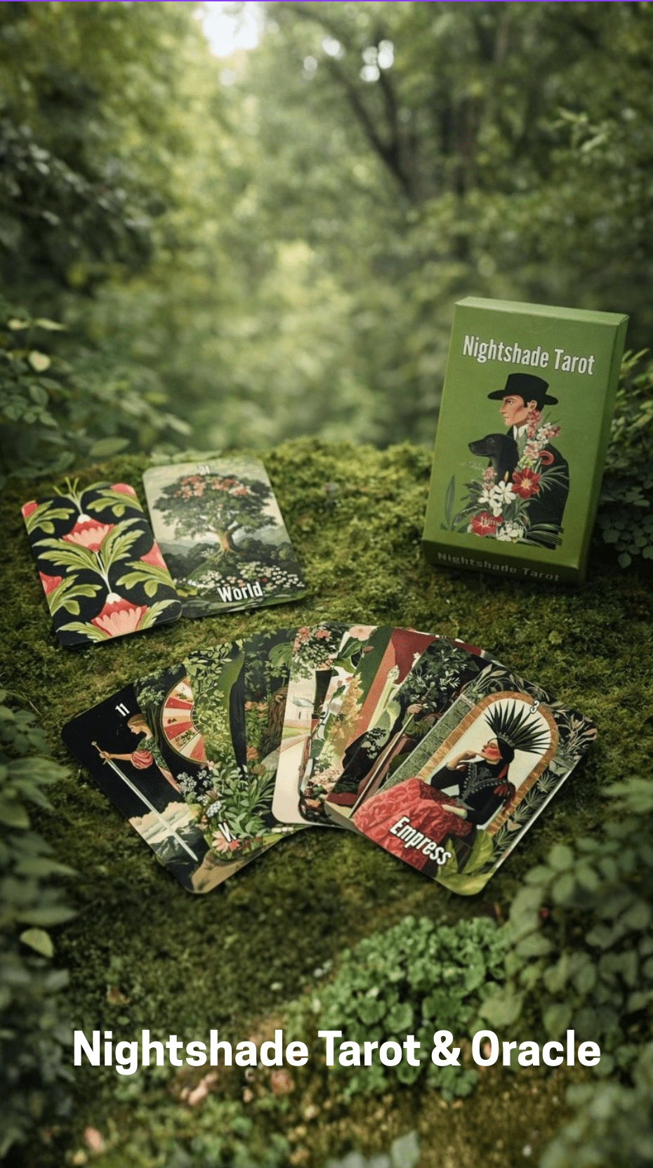 Studio Spotlight: Nightshade Tarot & Oracle - Hattie Thorn Tarot