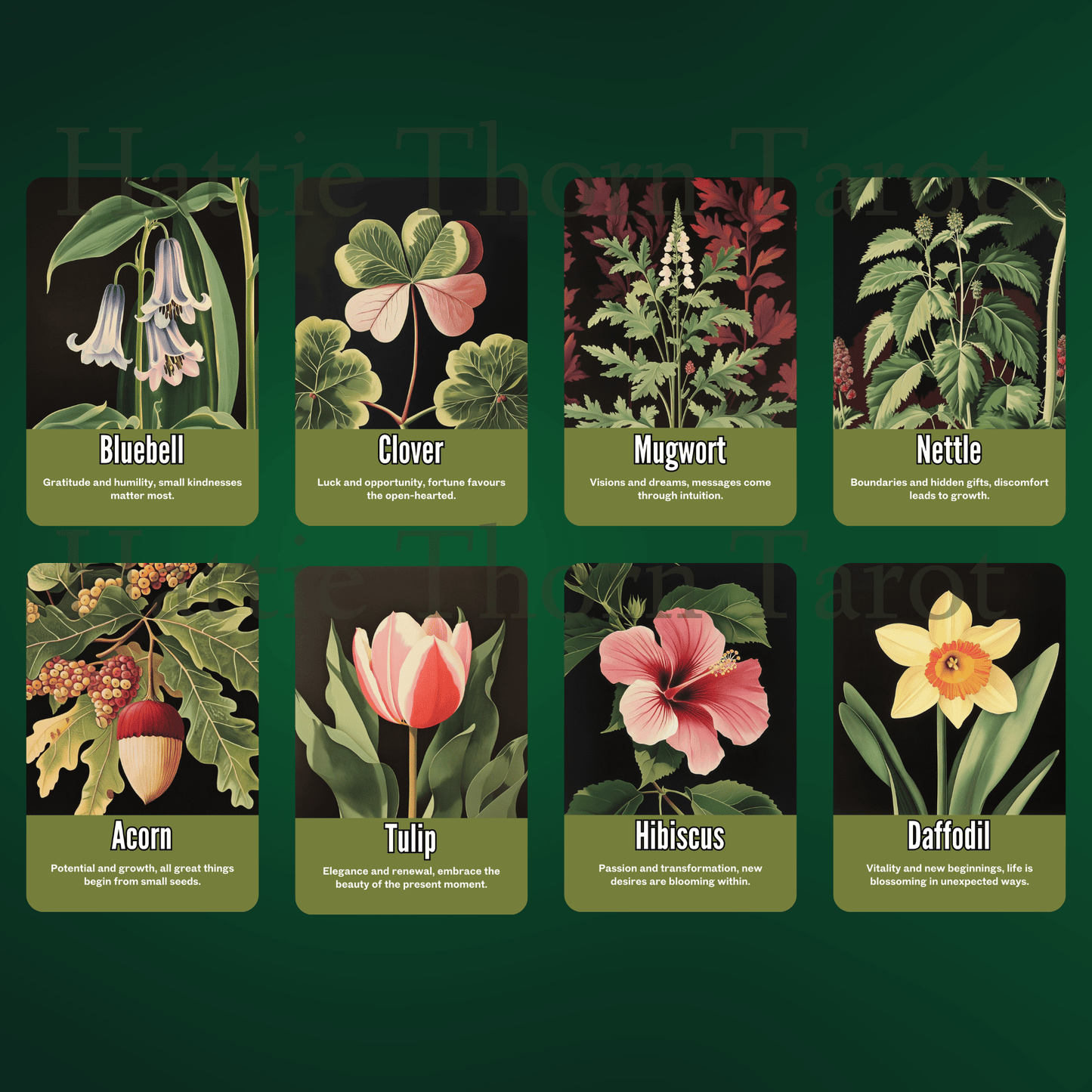 Nightshade Tarot & Oracle Bundle 🌿 A 2 - deck descent into floral shadow, mystical depth, and midnight soul work - Hattie Thorn Tarot