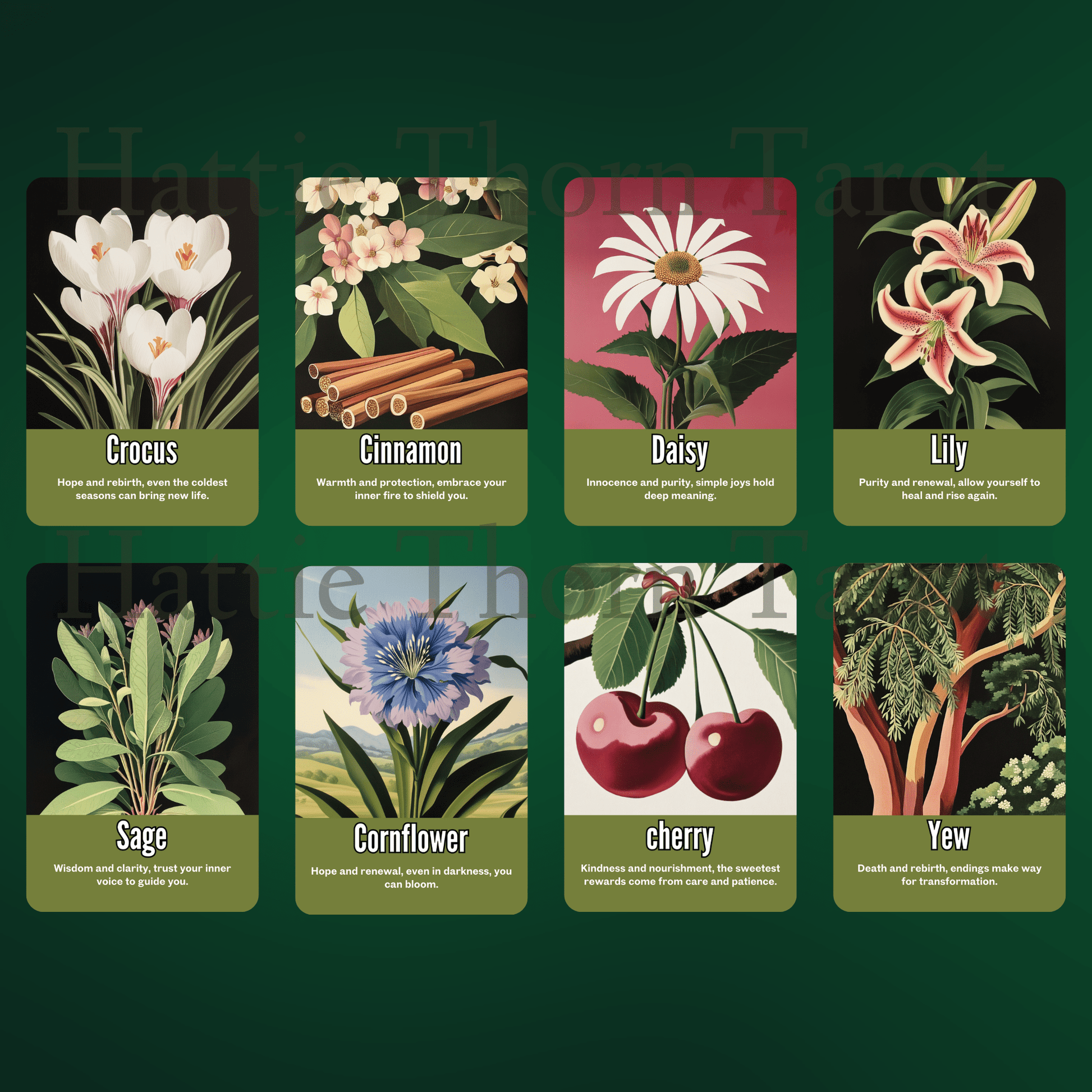 Nightshade Oracle 🌿 A 50 - card oracle deck of poisonous beauty, shadowed truth, and intuitive reflection - Hattie Thorn Tarot