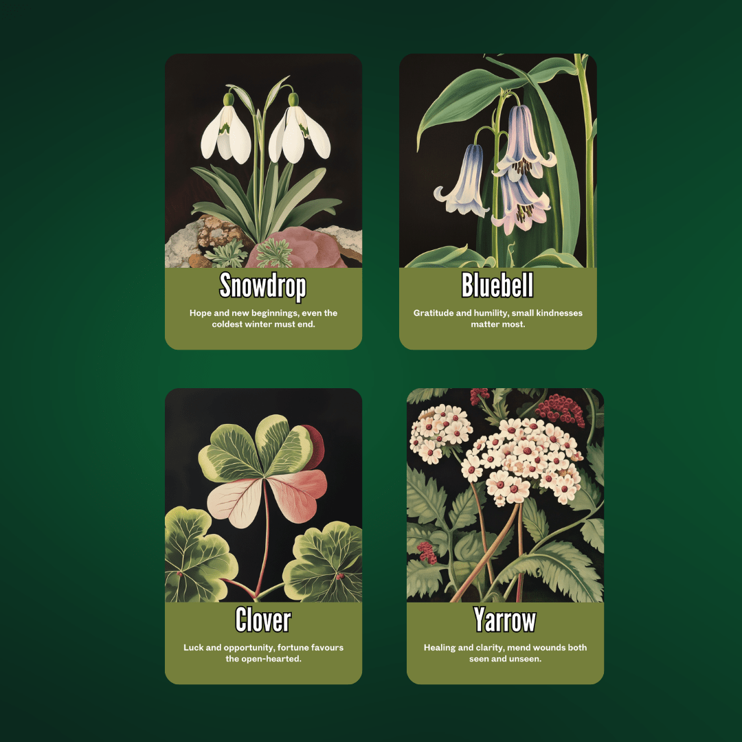 Nightshade Oracle 🌿 A 50 - card oracle deck of poisonous beauty, shadowed truth, and intuitive reflection - Hattie Thorn Tarot