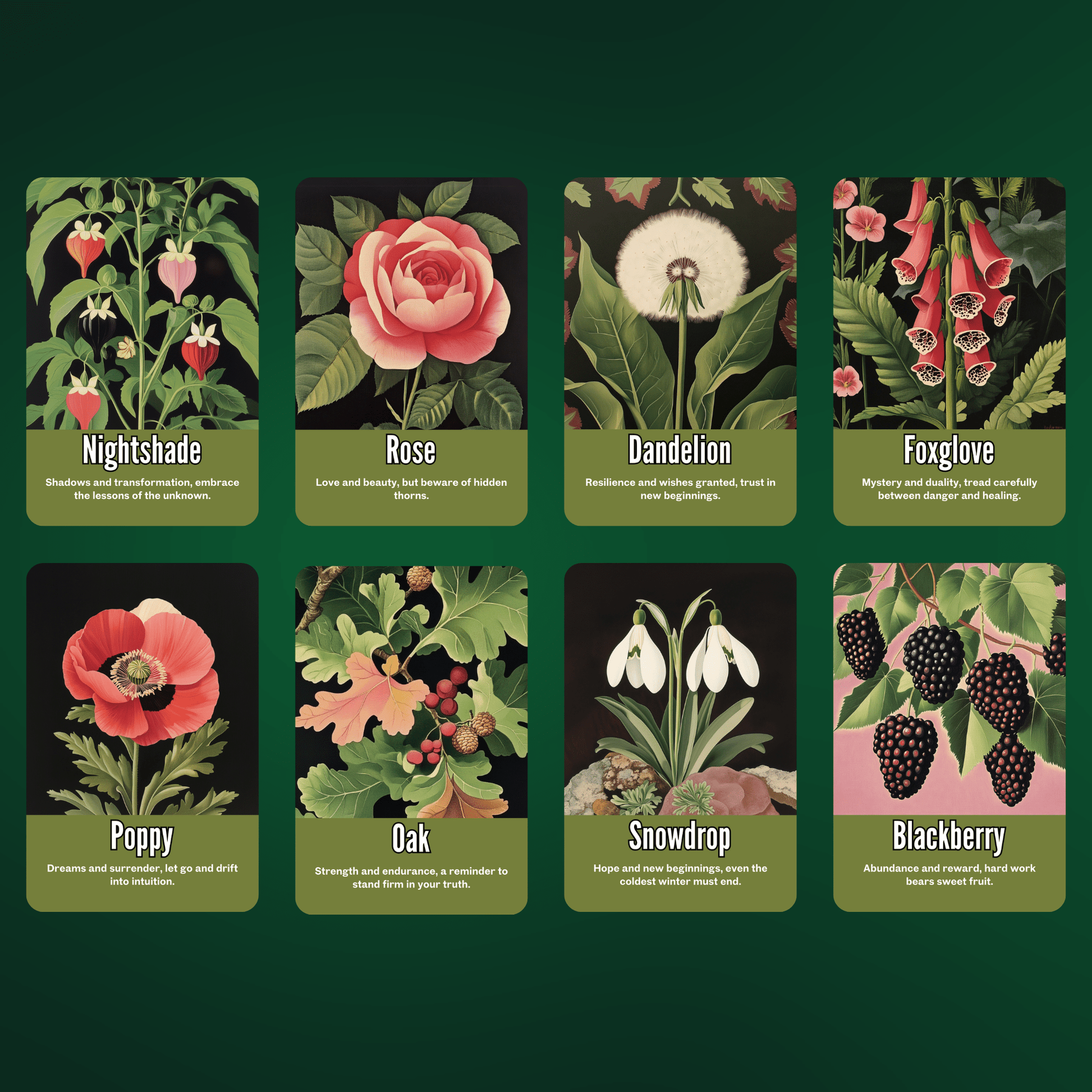 Nightshade Tarot & Oracle Bundle 🌿 A 2 - deck descent into floral shadow, mystical depth, and midnight soul work - Hattie Thorn Tarot