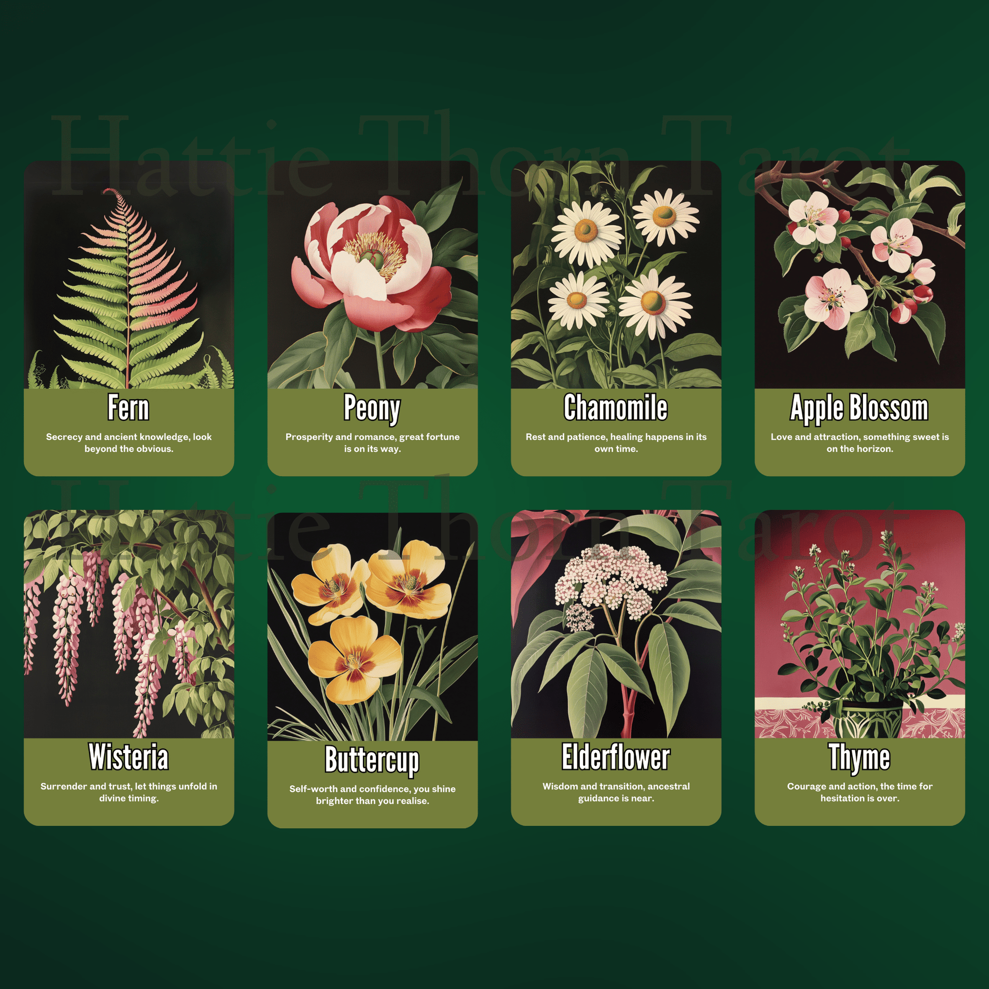 Nightshade Tarot & Oracle Bundle 🌿 A 2 - deck descent into floral shadow, mystical depth, and midnight soul work - Hattie Thorn Tarot