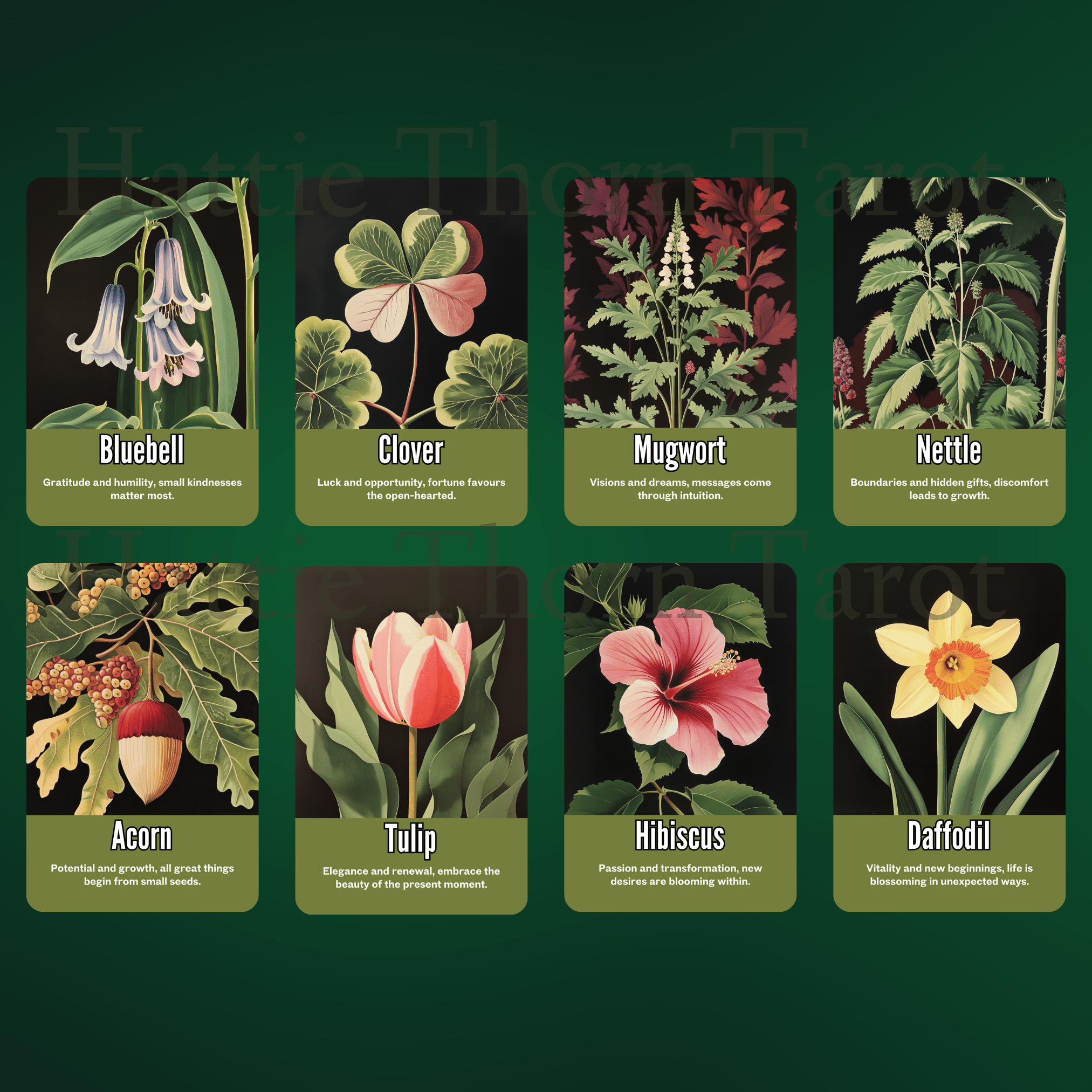 Nightshade Tarot & Oracle Bundle 🌿 A 2 - deck descent into floral shadow, mystical depth, and midnight soul work - Hattie Thorn Tarot